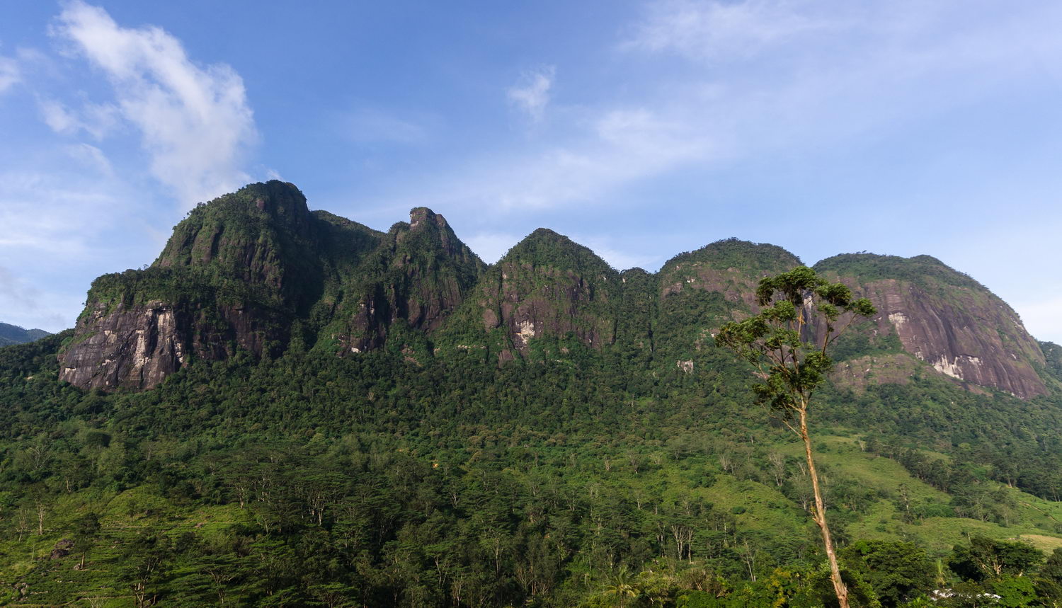 Online Casinos Offering Trivia Promotions Okwin